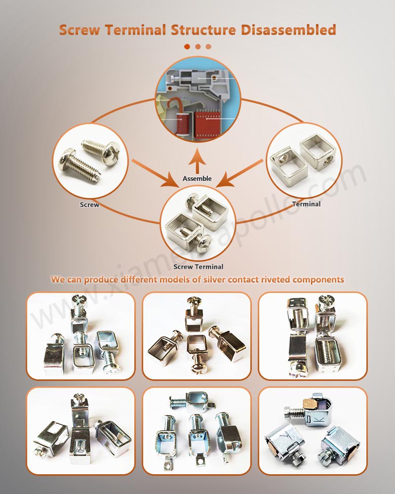 Screw Terminal Structure Disassembled Screw Terminal Structure Disassembled