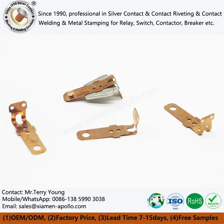 Kniedos berilio vario dalys